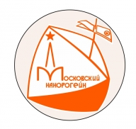 Московский Нанорогейн 2020. 10 этап