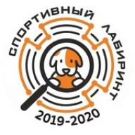 «Спортивный лабиринт 2020»