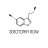 SEROTONIN ROW 2022 - водный рогейн в Москве