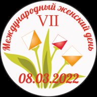 VII Традиционные соревнования, посвященные Международному Женскому Дню