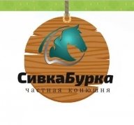 Соревнования по технике конного туризма