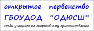 Открытое первенство ГБОУДОД «ОДЮСШ»