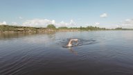 заплыв по плаванию на открытой воде «Лемью-Алёшино»